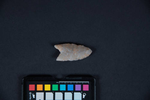 PROJECTILE POINT