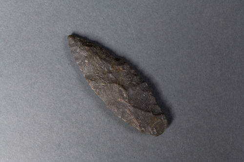 PROJECTILE POINT