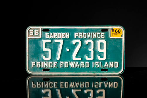 LICENSE PLATE