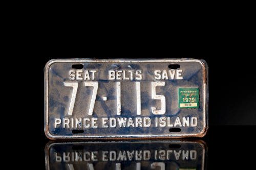 LICENSE PLATE