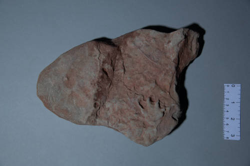 Fossil